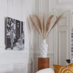 Jonathan Adler "Cheetah Who Shops" From Getty Images Photography