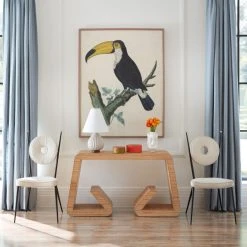 Jonathan Adler Barraband Toucans 1