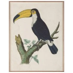 Jonathan Adler Barraband Toucans 1