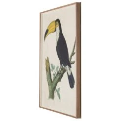 Jonathan Adler Barraband Toucans 1