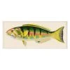 Jonathan Adler Print Bennet Fish 3