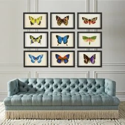 Jonathan Adler Print Hubbard Butterfly, Small: 1632