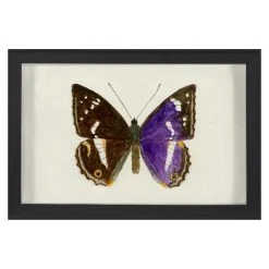 Jonathan Adler Print Hubbard Butterfly, Small: 1160