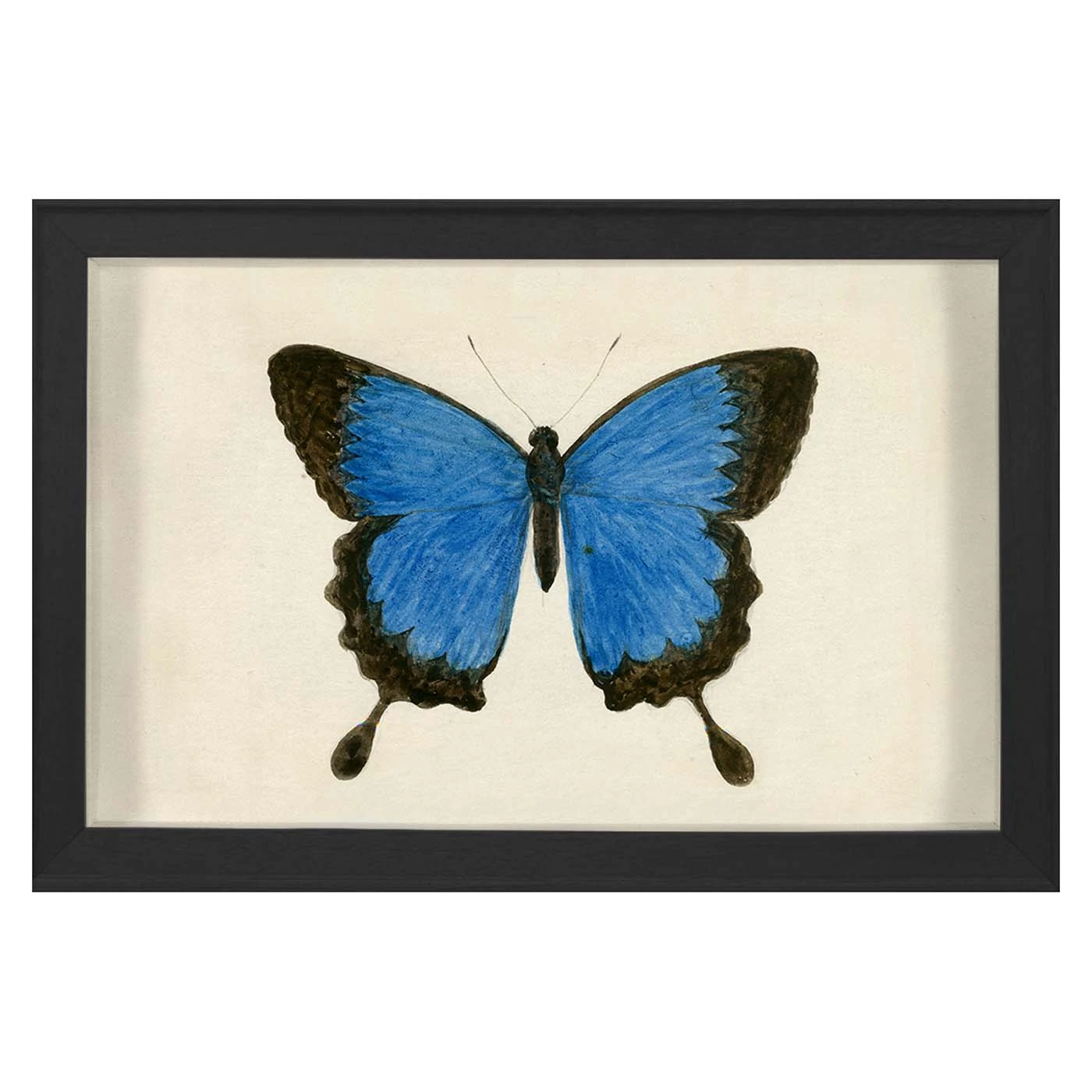Jonathan Adler Hubbard Butterfly, Small: 181 Print