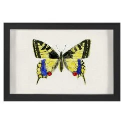 Jonathan Adler Print Hubbard Butterfly, Small: 583