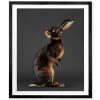 Jonathan Adler Peter Samuels "Jack" (the Belgian Hare) Print