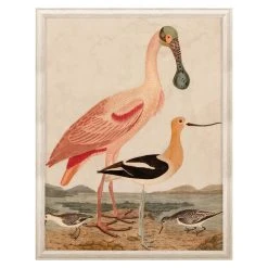 Jonathan Adler Print Warnicke Spoonbill