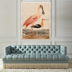 Jonathan Adler Print Warnicke Spoonbill